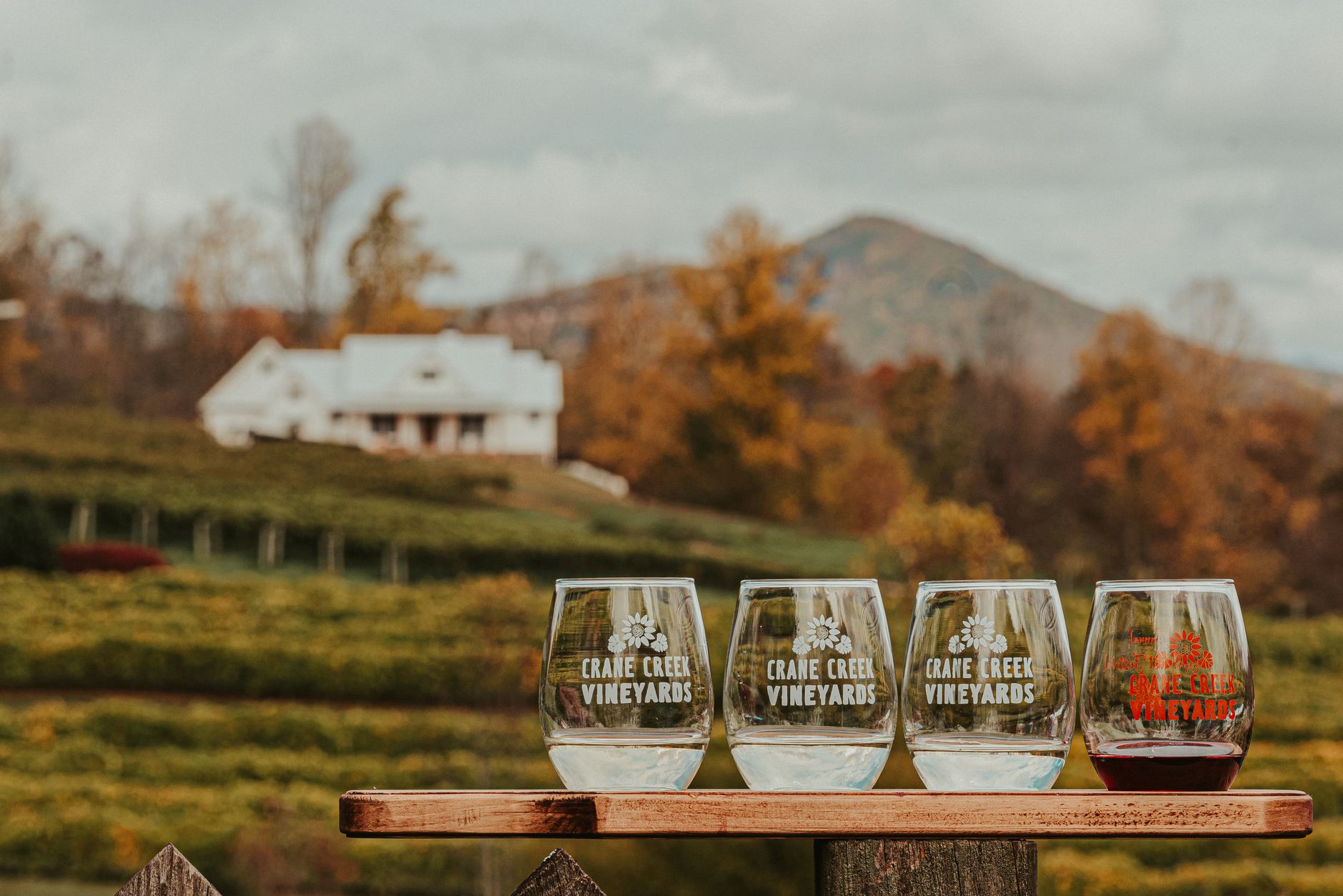 Vinobranie a degustácia vín